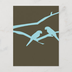 Love Birds Postcard