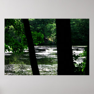 Love BIrds Poster