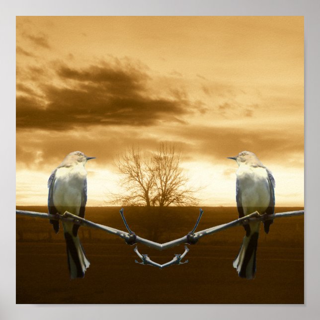 Love Birds_Poster Poster (Front)