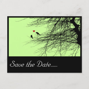 Love Birds, save the date postcard. Announcement Postcard