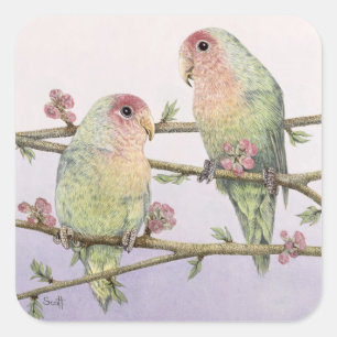 Love Birds Square Sticker