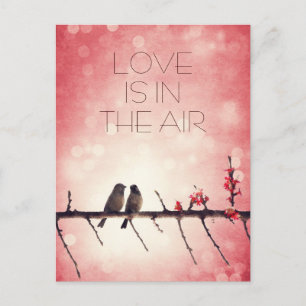 Love birds story postcard