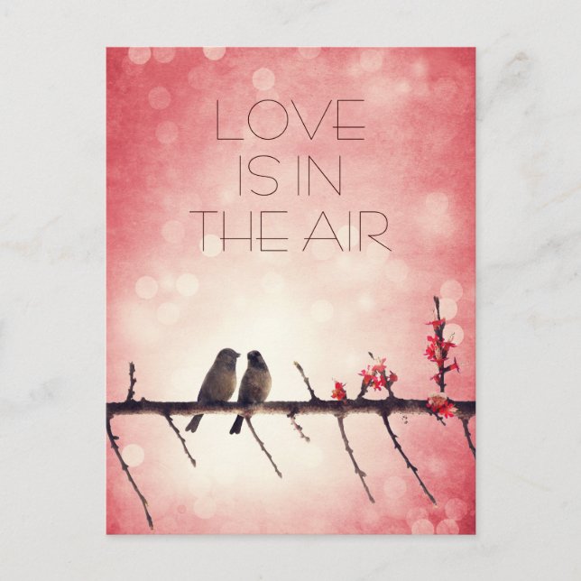 Love birds story postcard (Front)