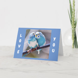 **LOVE BIRDS TO SAY I LOVE YOU**  LOVE CARD