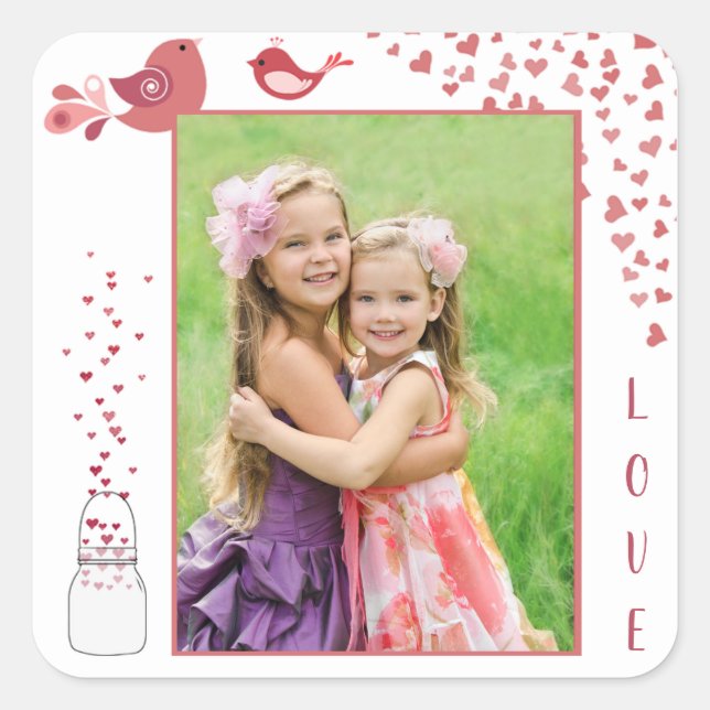 Love Birds Valentine's Day Heart Photo Sticker (Front)