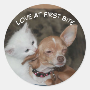Love Bite Kitty And Puppy Sticker