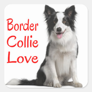 Love Black And White Border Collie Puppy Dog Square Sticker
