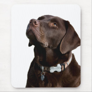 Love Black & Brown Labrador Retriever Mouse Pad