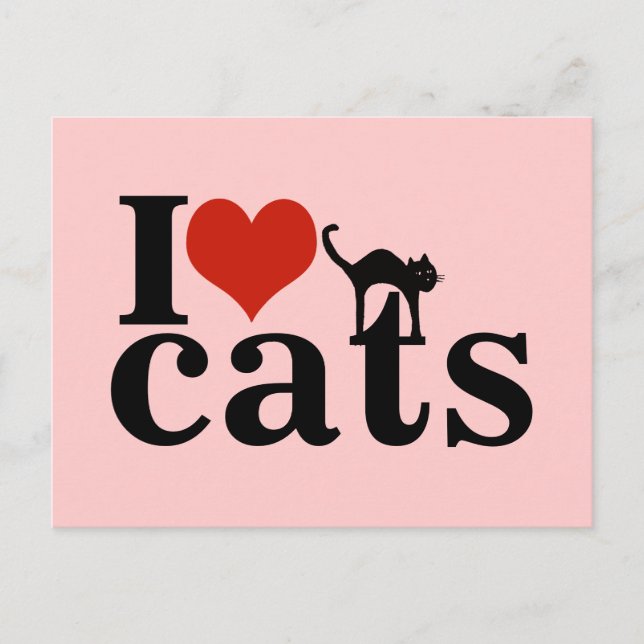 love black cat postcard (Front)