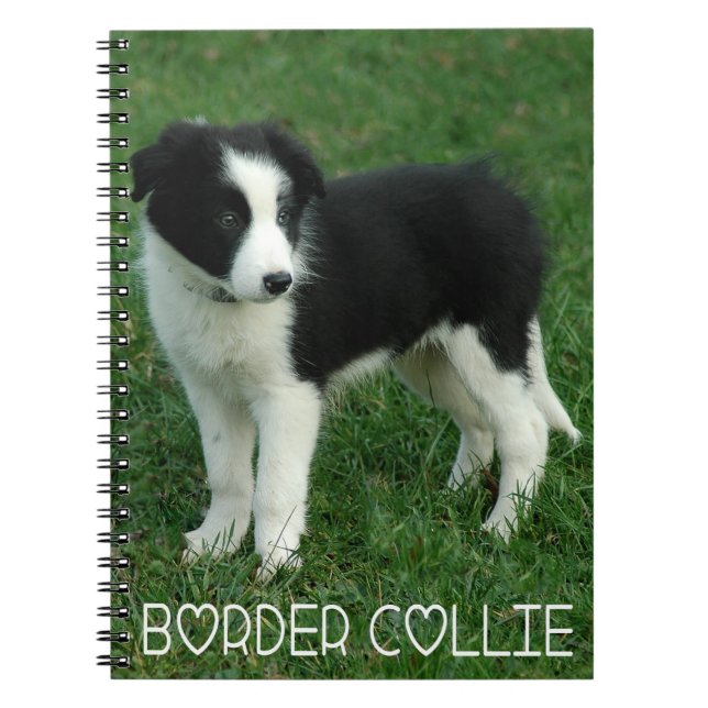 Love Black & White Border Collie Puppy Dog Journal (Front)