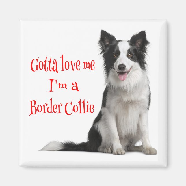 Love Black & White Border Collie Puppy Red Magnet (Front)
