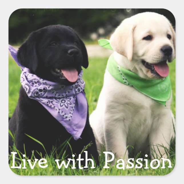 Love Black & Yellow Labrador Retriever Puppy Dogs Square Sticker (Front)