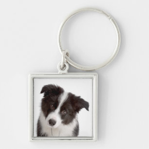 Love Border Collie Puppy Dog Keychain