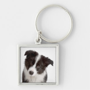 Love Border Collie Puppy Dog Keychain
