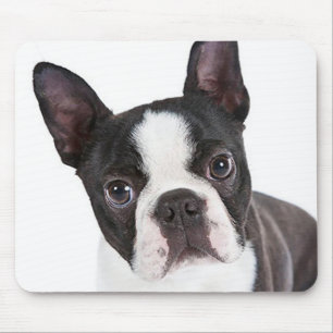 Love Boston Terrier Puppy Dog Computer Mousepad