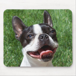 Love Boston Terrier Puppy Dog Computer Mousepad