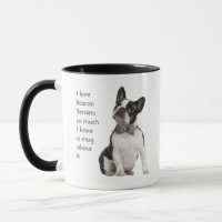 Love Boston Terriers Dogs So Much Fun Quote Mug