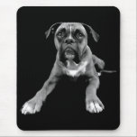 Love Boxer Puppy Dog Black Mousepad<br><div class="desc">Aww..who can resist the cute face of a Boxer Puppy Dog? This fun canine mousepad features a black and white image of a Boxer pup highlighted against a creamy black background. Every time you sit at your computer this sweet Boxer will be waiting for you with lots of love. Canine...</div>