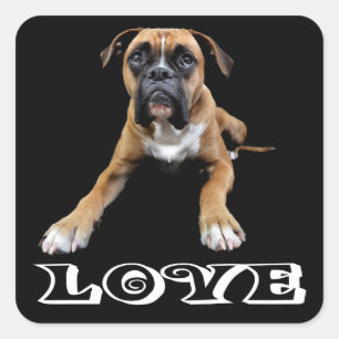 Love Boxer Puppy Dog Black Sticker / Seal