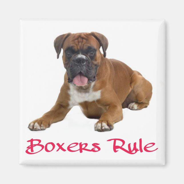 Love Boxer Puppy Dog Fridge Magnet (Front)