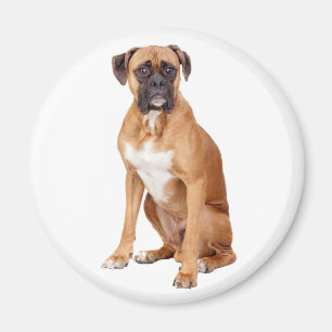 Love Boxer Puppy Dog Fridge Magnet