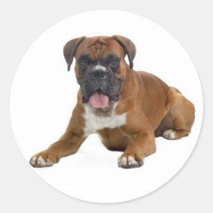 Love Boxer Puppy Dog Greeting Sticker