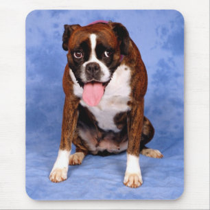 Love Boxer Puppy Dog On Blue Canine Mouse Mat