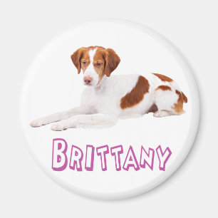 Love Brittany Spaniel Puppy Dog Magnet