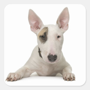 Love Bull Terrier Puppy Dog Sticker / Label