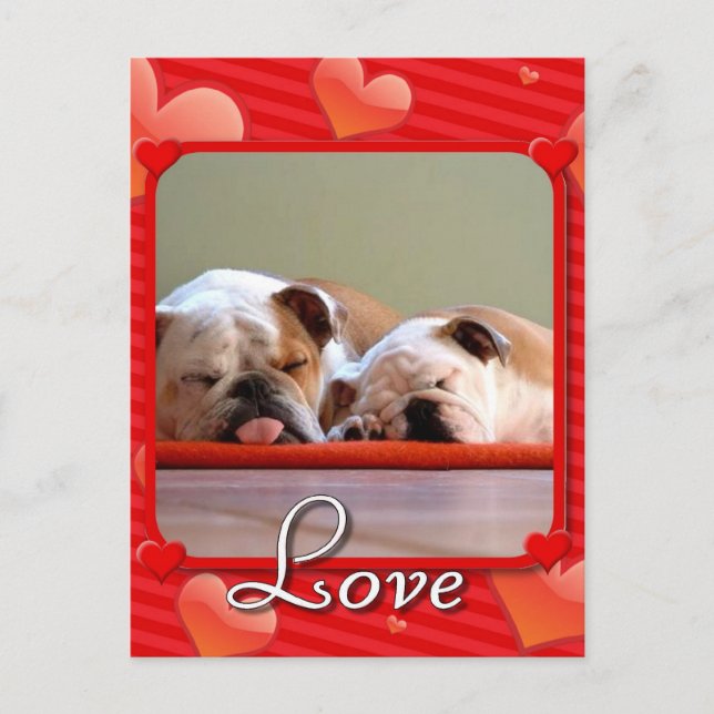 Love Bulldogs postcard (Front)