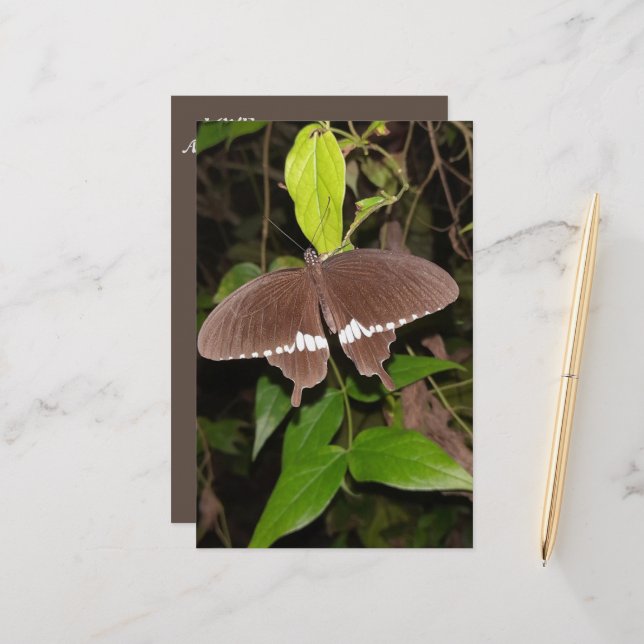 LOVE BUTTERFLY GIFT FOR ANYONE  STATIONERY (Front/Back In Situ)