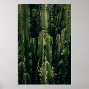LOVE CACTUS POSTER