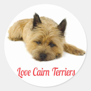 Love Cairn Terrier Puppy Dog Greeting Stickers