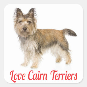 Love Cairn Terrier Puppy Dog Greeting Stickers