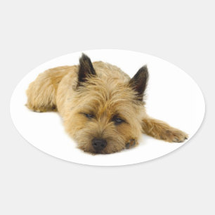 Love Cairn Terrier Puppy Dog Greeting Stickers