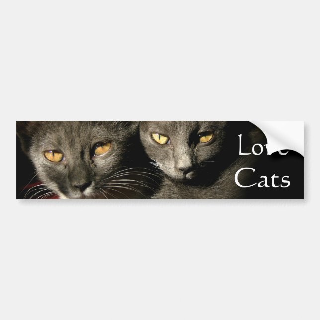 Love Cats Bumper Sticker (Front)