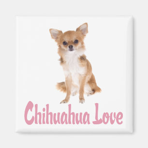 Love Chihuahua Puppy Dog Fridge Magnet