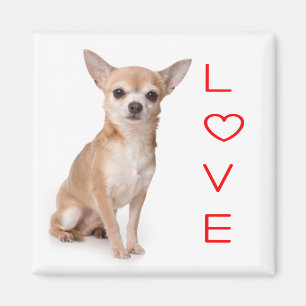 Love Chihuahua Puppy Dog Fridge Magnet