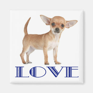 Love Chihuahua Puppy Dog Fridge Magnet