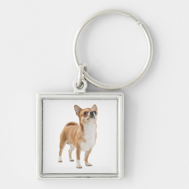 Love Chihuahua Puppy Dog Key Chain (Front)