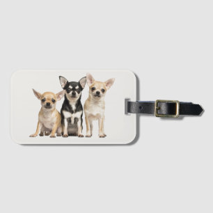 Love Chihuahuas Luggage Tag