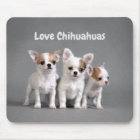 Love Chihuahuas