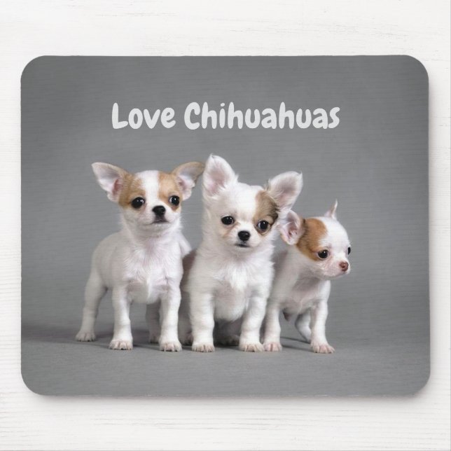 Love Chihuahuas Mouse Mat (Front)