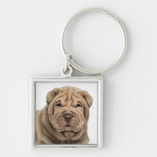 Love Chinese Shar Pei Puppy Dog Keychain