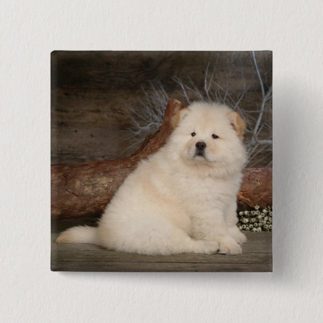 Love Chow Chow Puppy Dog Button Pin (Front)
