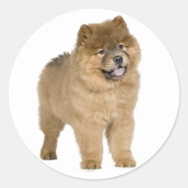 Love Chow Chow Puppy Dog Greeting Stickers (Front)
