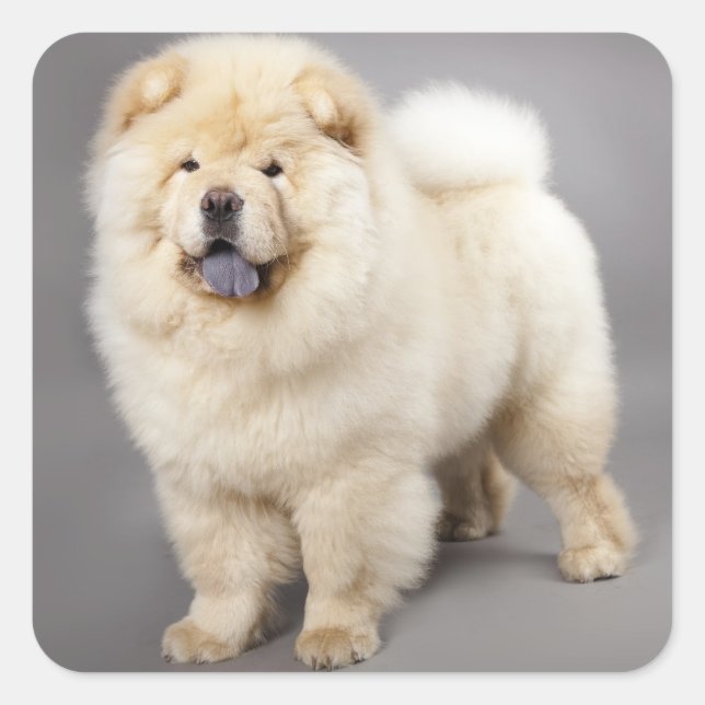 Love Chow Chow Puppy Dog Greeting Stickers (Front)