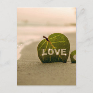 Love Coast Loving Postcard