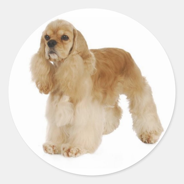 Love Cocker Spaniel Puppy Dog Stickers (Front)