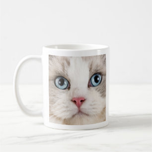 Love Coffee and Cats Photo  Mug